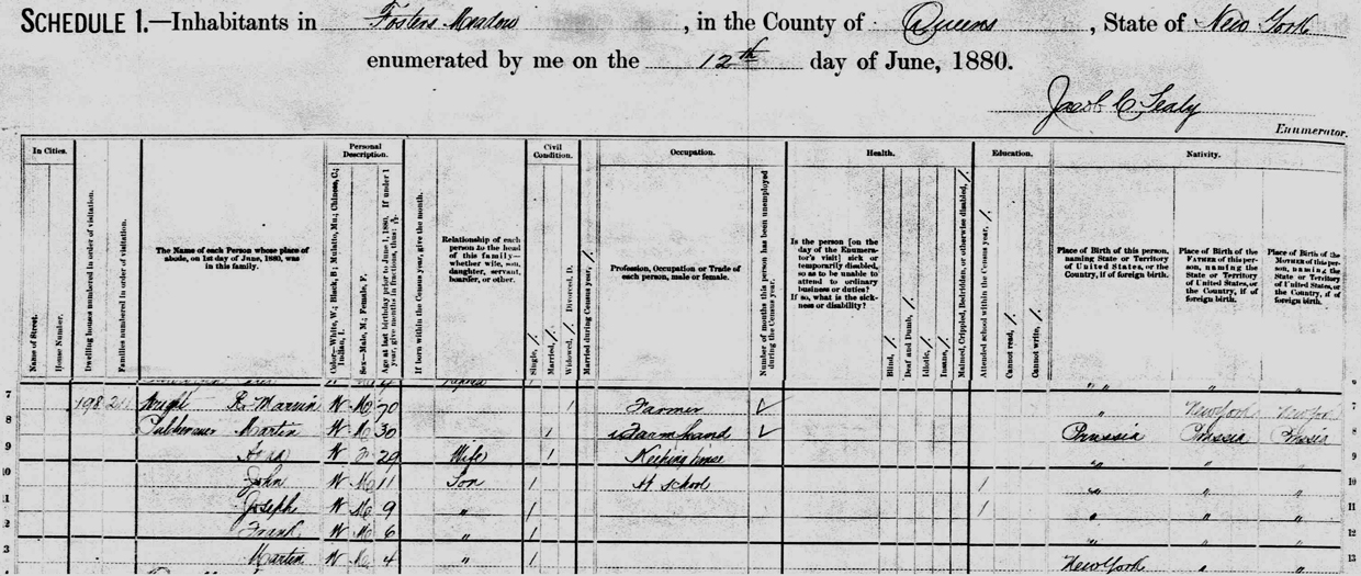 Martin 1880 census