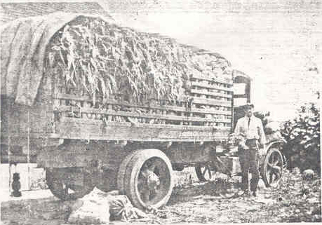 Henry corn truck 1