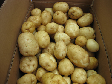 potato box